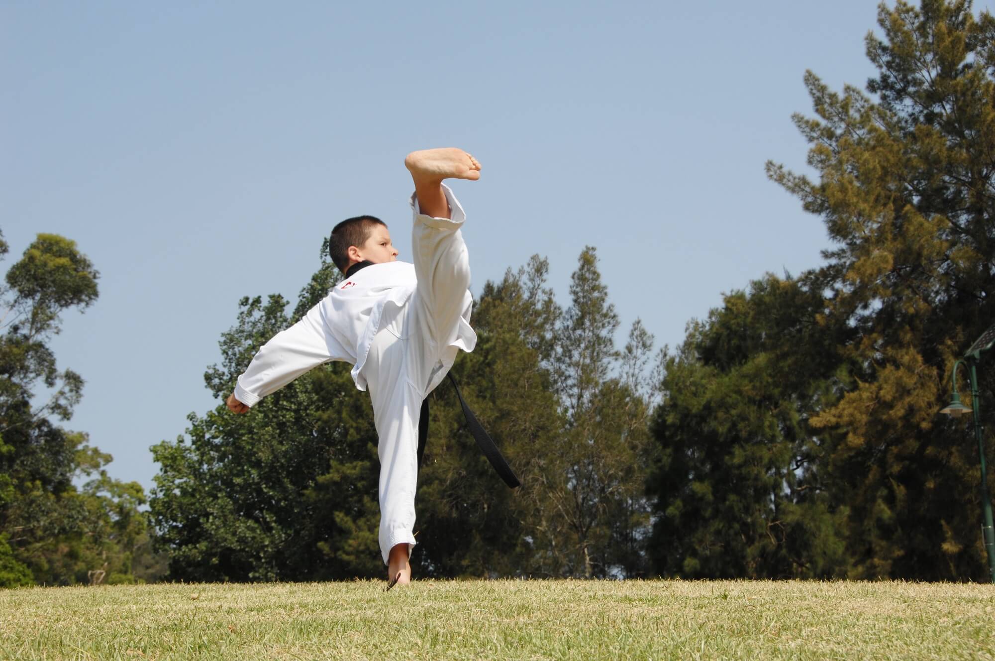 Pinnacle Martial Arts, Taekwondo, Fitness, Kung Fu, Karate & Self Defence classes in Marrickville Inner West of Sydney & Chester Hill Bankstown Area South West Sydney for Kids, Teens & Adults.